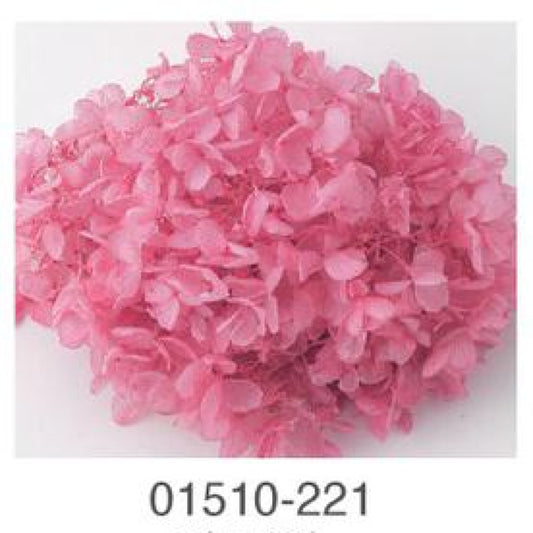 EarthMatters 0151-0-221繡球花永生花花材