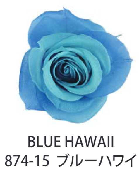 Primavera 87415玫瑰永生花花材