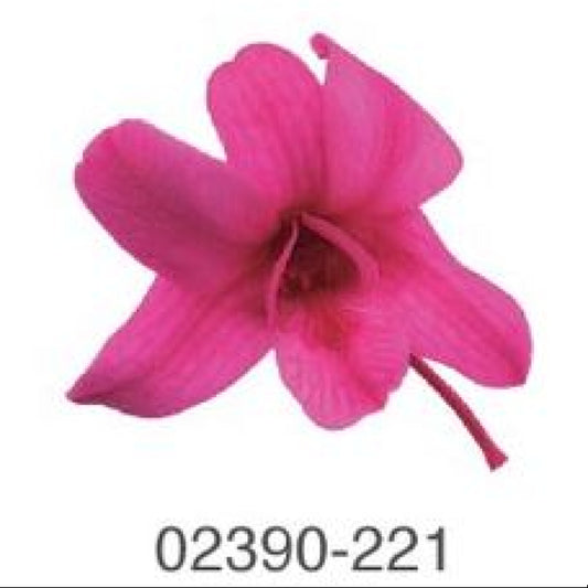 EarthMatters 0239-0-221石斛蘭永生花花材