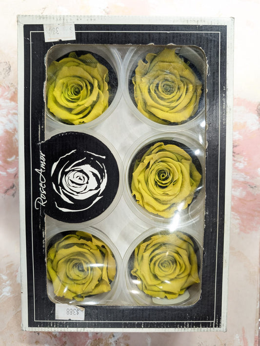 RoseAmor LGRE-01玫瑰永生花花材