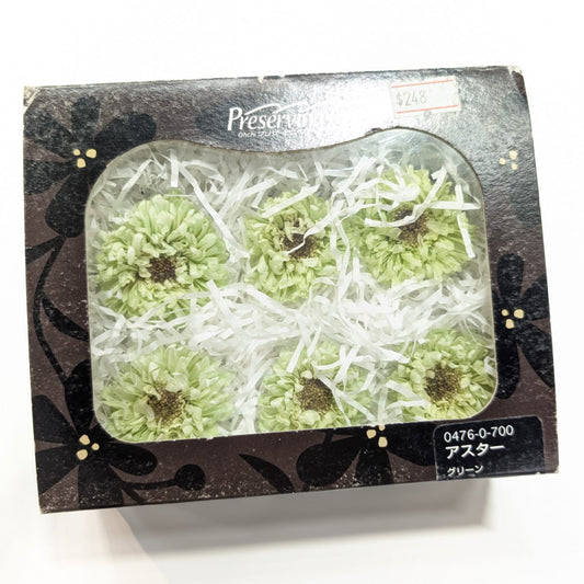 EarthMatters 0476-0-700小菊永生花花材