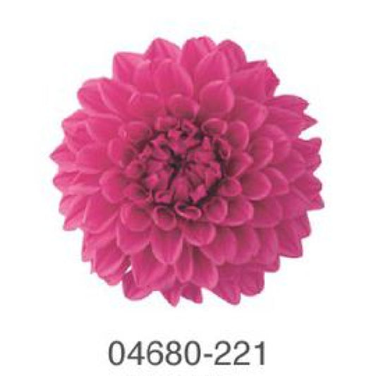 EarthMatters 0468-0-221大理花永生花花材