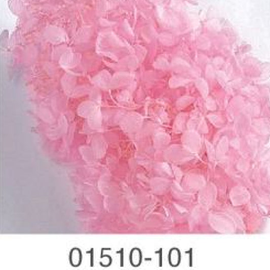 EarthMatters 0151-0-101繡球花永生花花材