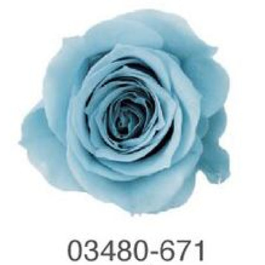 EarthMatters 0348-0-671玫瑰永生花花材