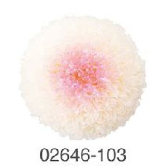 EarthMatters 0264-6-103乒乓菊永生花花材