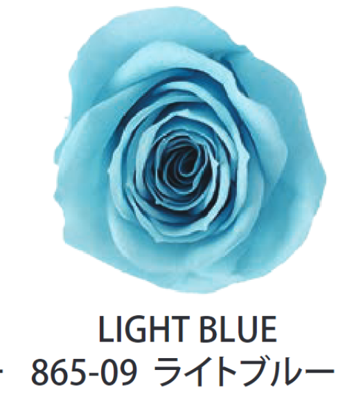 Primavera 86509玫瑰永生花花材