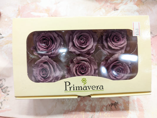 Primavera 86225玫瑰永生花花材