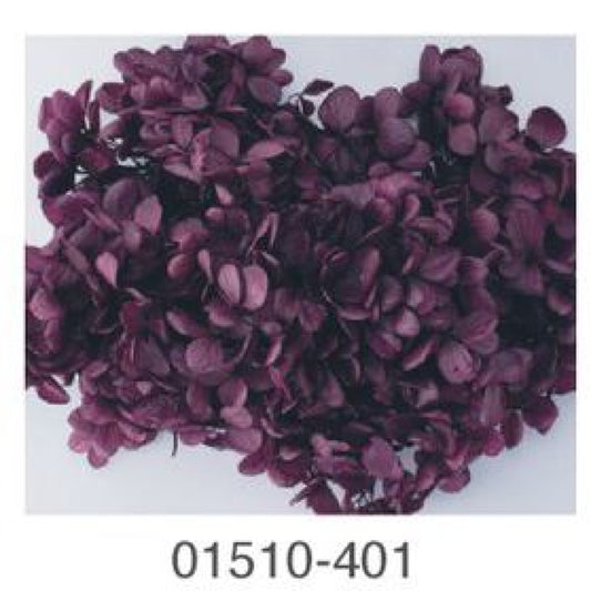 EarthMatters 0151-0-401繡球花永生花花材
