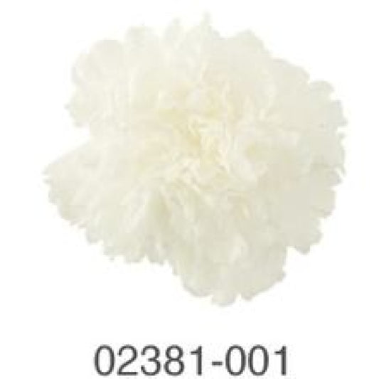 EarthMatters 0238-1-001迷你康乃馨永生花花材