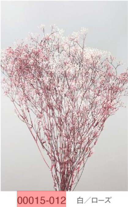 EarthMatters 00015-012滿天星永生花花材