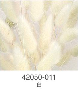 EarthMatters 42050-011兔尾草永生葉材