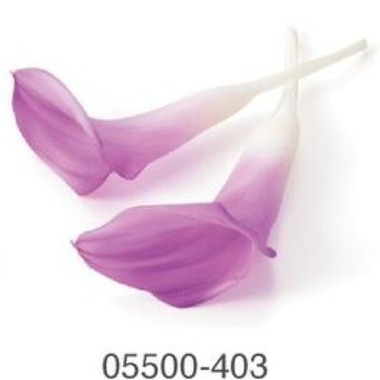 EarthMatters 0550-0-403馬蹄蘭永生花花材