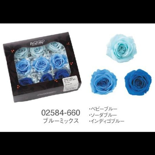 EarthMatters 0258-4-660玫瑰永生花花材