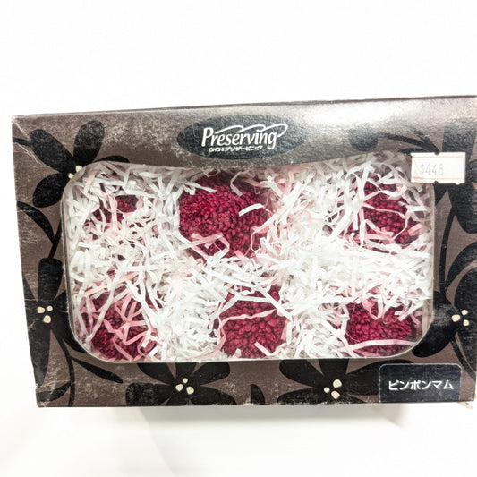 EarthMatters 0264-0-330玫瑰永生花花材