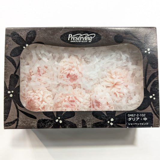 EarthMatters 0467-2-102大理花永生花花材