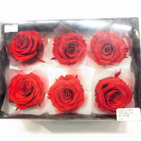 EarthMatters 0521-2-321玫瑰永生花花材