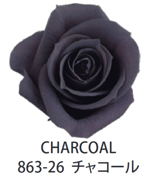 Primavera 86326玫瑰永生花花材