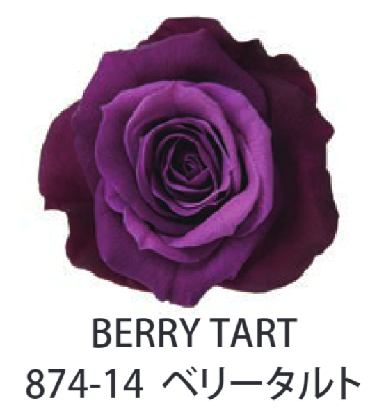 Primavera 87414玫瑰永生花花材