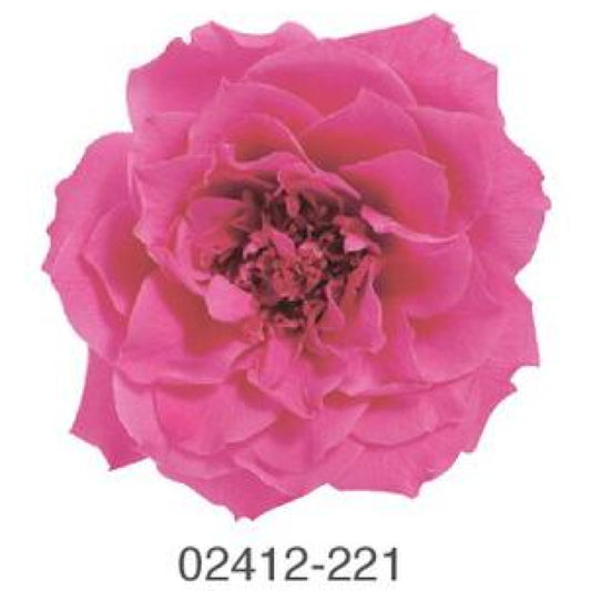 EarthMatters 0241-2-221瑪麗安娜玫瑰永生花花材