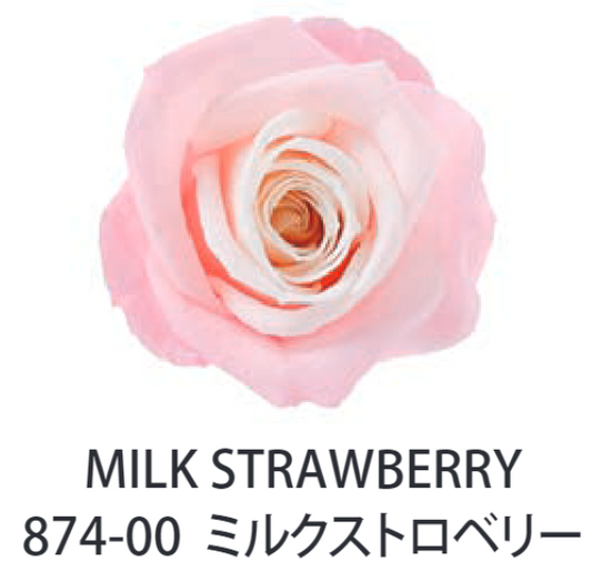 Primavera 87400玫瑰永生花花材