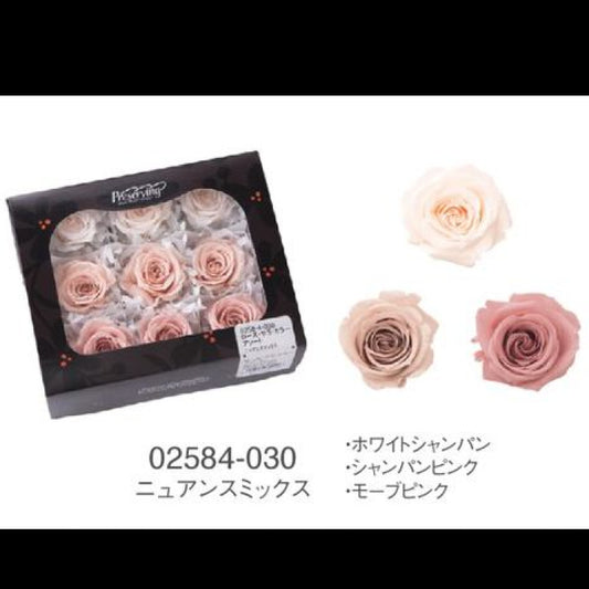 EarthMatters 0258-4-030玫瑰永生花花材