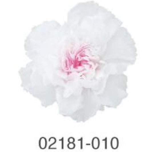 EarthMatters 0218-1-010康乃馨花永生花花材