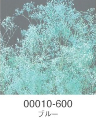 EarthMatters 00010-600迷你滿天星永生花花材