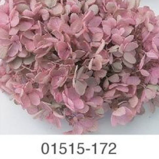 EarthMatters 0151-5-172繡球花永生花花材