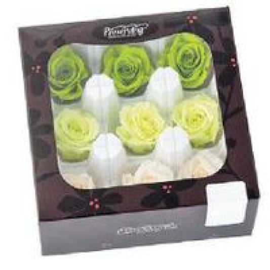 EarthMatters 0348-4-770玫瑰永生花花材