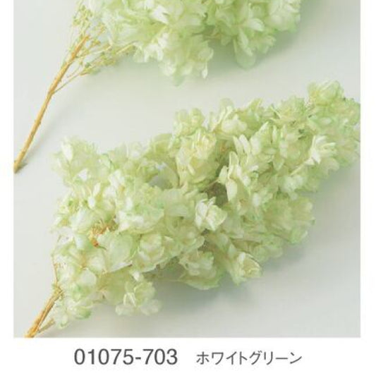 EarthMatters 0107-5-703繡球花永生花花材