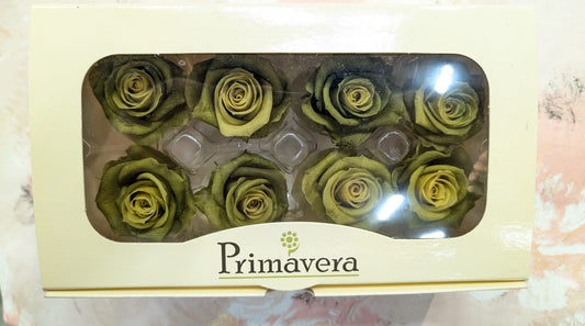 Primavera 87416玫瑰永生花花材