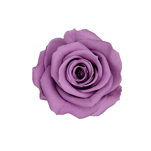 Florever FL070-14玫瑰永生花花材