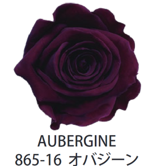 Primavera 86516玫瑰永生花花材