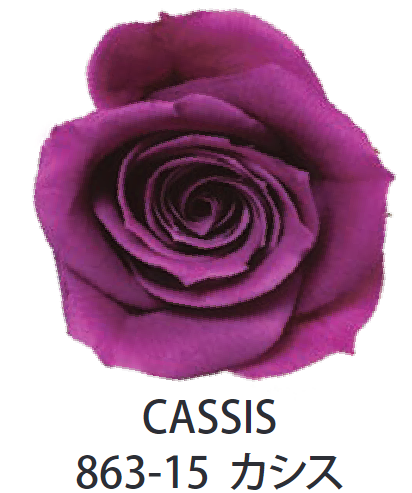 Primavera 86315玫瑰永生花花材