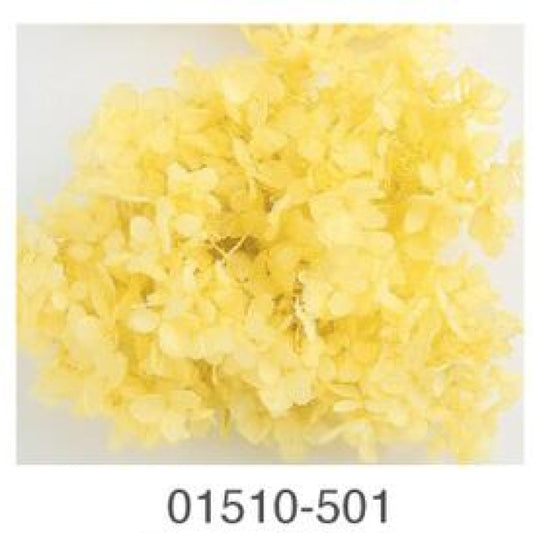 EarthMatters 0151-0-501繡球花永生花花材