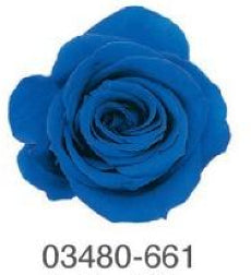 EarthMatters 0348-0-661玫瑰永生花花材