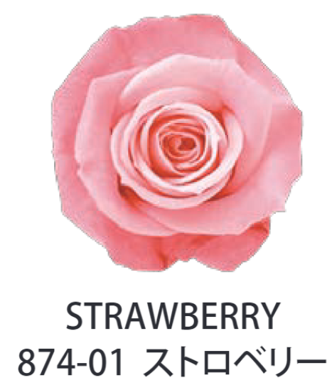 Primavera 87401玫瑰永生花花材