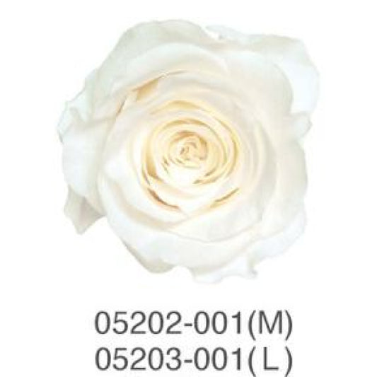 EarthMatters 0520-2-001玫瑰永生花花材