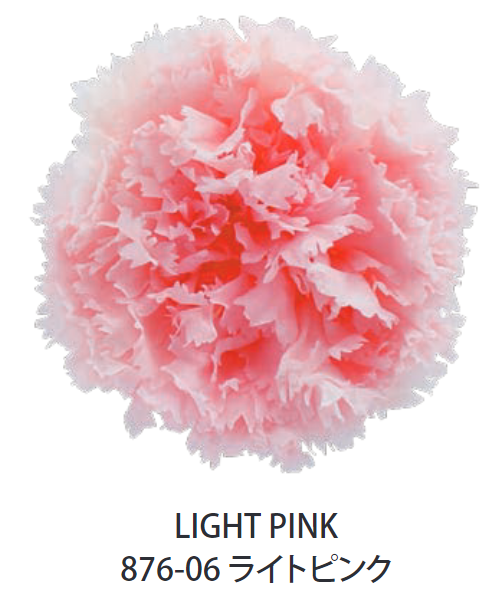 Primavera 87606康乃馨永生花花材