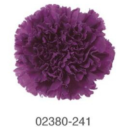 EarthMatters 0238-0-241康乃馨永生花花材