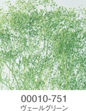 EarthMatters 00010-751迷你滿天星永生花花材