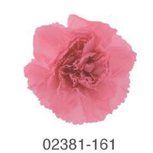 EarthMatters 0238-1-161迷你康乃馨永生花花材