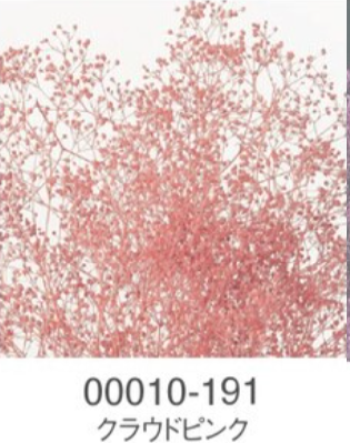 EarthMatters 00010-191迷你滿天星永生花花材