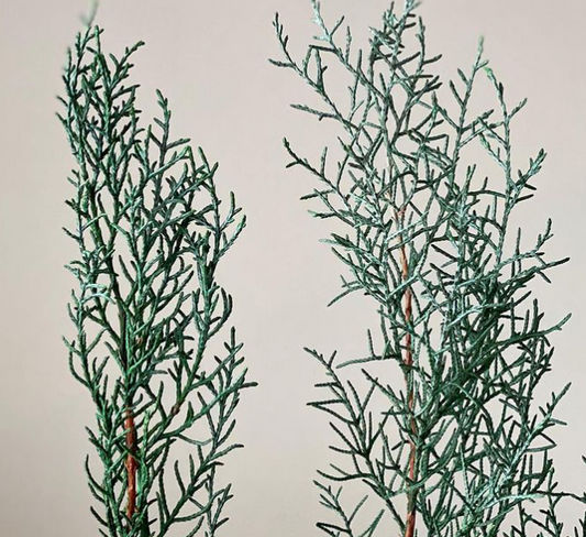 EarthMatters 01260-722藍冰柏永生葉材