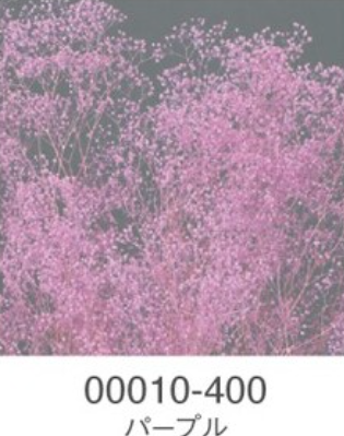 EarthMatters 00010-400迷你滿天星永生花花材