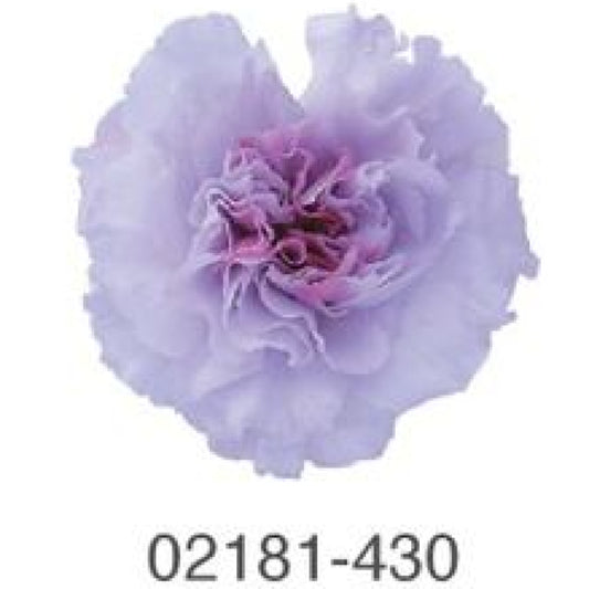 EarthMatters 0218-1-430康乃馨永生花花材