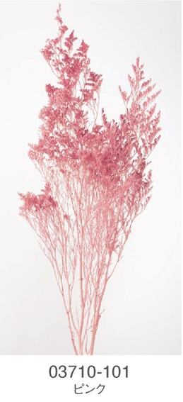 EarthMatters 03710-101粉紅情人草永生花材