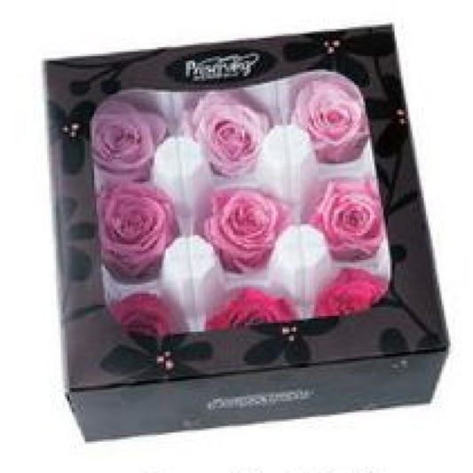 EarthMatters 0348-4-110玫瑰永生花花材