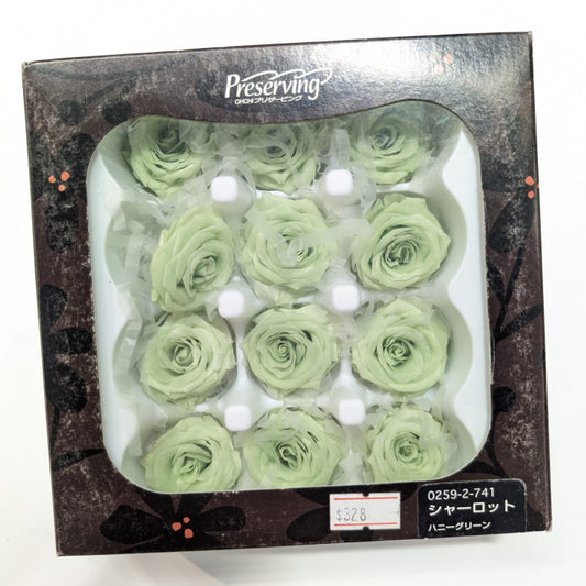 EarthMatters 0259-2-741玫瑰永生花花材