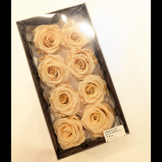 EarthMatters 0304-3-370庭園玫瑰永生花花材